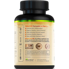 Load image into Gallery viewer, Turmeric Curcumin with Ginger